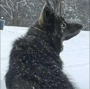 Meet your Posher, Debra